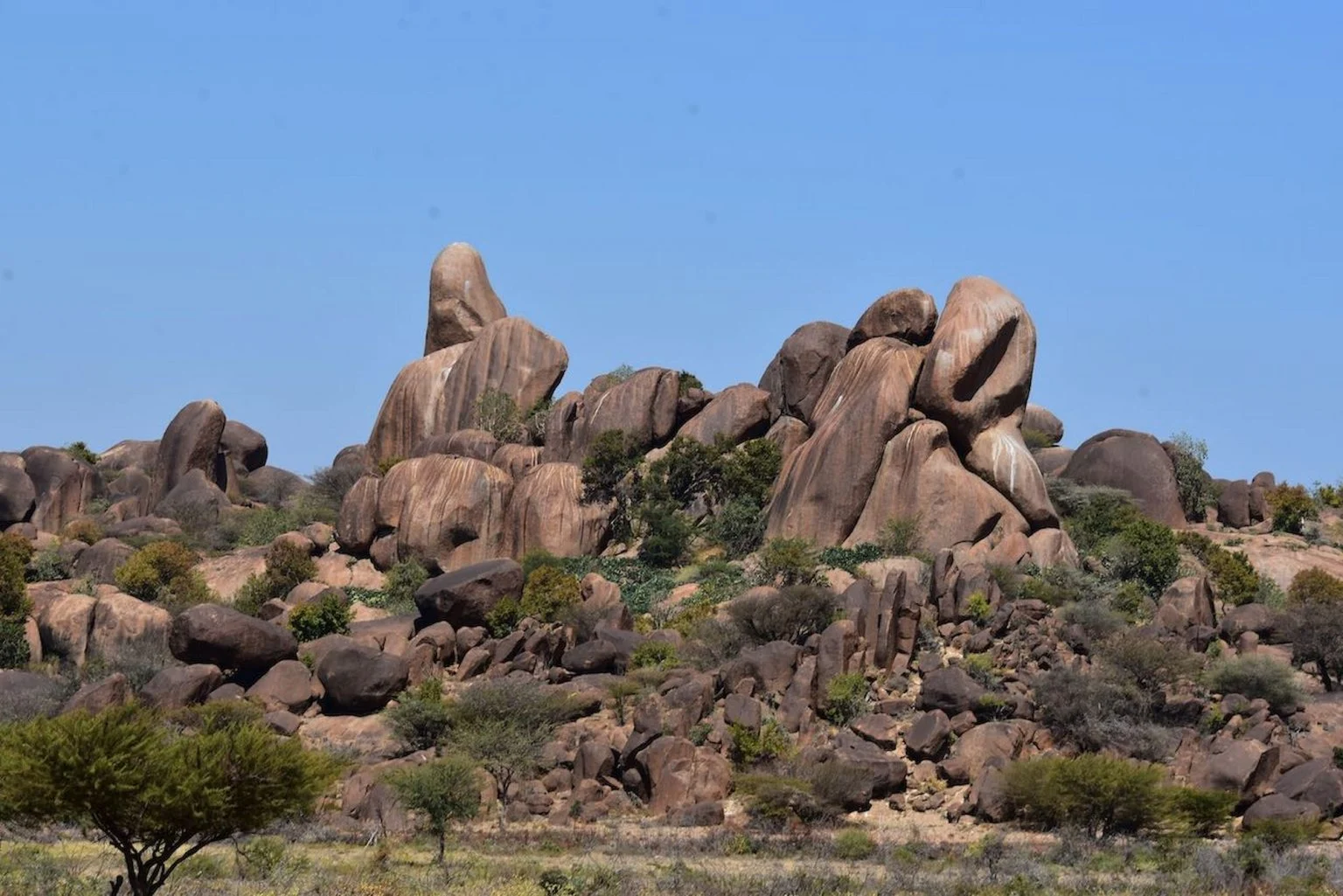 Granite rock formations in the Somaliland landscape near Laas Geel