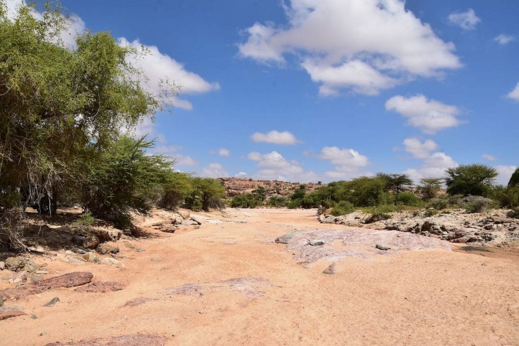Trockenes Flussbett (Wadi) in der Landschaft Somalilands