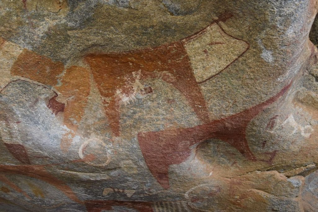 Laas Geel rock art panel with long-horned cattle in ceremonial garments, Somaliland